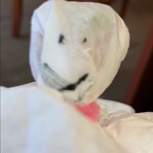 Meet your Posher, Tracy